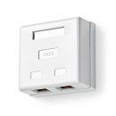 Aufputz Netzwerk-Wanddose Dose CAT6 CAT 6 STP Ethernet Gigabit Internet 2 Port AP