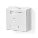 Aufputz Netzwerk-Wanddose Dose CAT6 CAT 6 STP Ethernet Gigabit Internet 2 Port AP