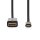 2m USB 3.2 Gen 1 I USB-C Adapter Displayport Stecker 4K 60Hz 2 Meter Monitor PC Notebook
