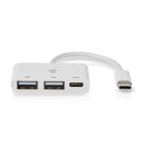 USB-C Hub Eingang Weiche USB 2.0 A / Typ C Type 1:3 PC Laptop Notebook