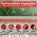 10x weiss Taubenspikes Taubenabwehr Vogelabwehr Spikes...