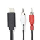 USB-C GEN 3.2 Adapter 2x RCA Cinch Chinch Stecker Audio Kabel 1 Meter 1m