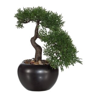 Kunstpflanze Deko Bonsai Zeder 25cm mit Topf Keramik künstlich klein Kunststoff