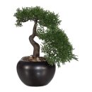Kunstpflanze Deko Bonsai Zeder 25cm mit Topf Keramik künstlich klein Kunststoff