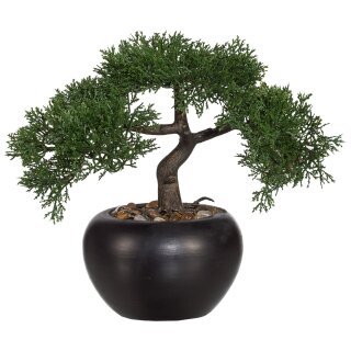Kunstpflanze Deko Bonsai Zeder 26cm mit Topf Keramik künstlich klein Kunststoff