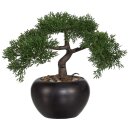 Kunstpflanze Deko Bonsai Zeder 26cm mit Topf Keramik künstlich klein Kunststoff