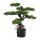 Große Kunstpflanze 65cm Deko Großer Bonsai mit Topf künstlich Kunststoff groß