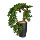 Große Kunstpflanze Lärche 90cm Deko Großer Bonsai mit Topf künstlich Kunststoff groß