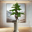 Kunstpflanze Deko Bonsai Myrte 85x55cm mit Topf...