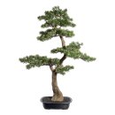 XL Kunstpflanze Deko Bonsai Zeder 1m x 60 cm mit Topf künstlich Kunststoff Dekoration