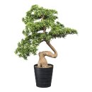 Große Kunstpflanze Deko Bonsai Steineibe Eibe...