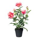 Kunstpflanze Rosenbusch Rose Rosen pink mit Topf 58cm...