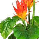 Große Kunstpflanze Guzmania Deko-Idee 58cm künstlich Pflanze Büro