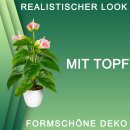 Kunstpflanze Anthurie mit Topf ca. 40cm Deko-Idee weiß rosa grün künstlich Pflanze