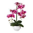 Kunstpflanze Orchidee Phalaenopsis in Keramiktopf, 52cm,...