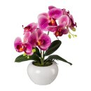 Kunstpflanze Phalaenopsis in Keramiktopf, 35cm, fuchsia,...