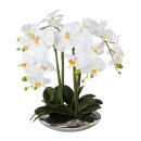 Kunstpflanze Orchidee Phalaenopsis x4 in Keramikschale,...
