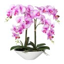 Kunstpflanze Phalaenopsis Orchidee Deko Idee hoch 53cm im...