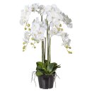 Große Kunstplanze hoch groß Phalaenopsis 90cm...