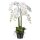 Große Kunstplanze hoch groß Phalaenopsis 90cm weiß Orchidee im Topf Deko Idee
