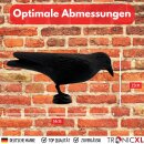4x Rabe Attrappe Taubenabwehr Taubenschreck Vogelabwehr Schädlingsbekämpfung Kunststoff Schutz vor lästigen Vögeln Raabe Schwarz