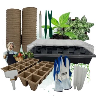 Zimmergewächshaus Anzuchtkasten Anzucht Set Starter + Pflanztöpfe + Werkzeug + Handschuhe für Samen Stecklinge Sämling Keimling Mini Gewächshaus