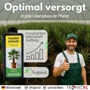5x 1L Natürlicher Hanfpalmendünger 5L Dünger Palmendünger 5 Liter Flüssigdünger für drinen und draußen Außen Pflanzendünger Pflanzenstärkungsmittel Blatt- & Wurzeldünger organisch 5000ml