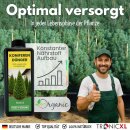 2L Langzeit Koniferendünger organisch I Organischer Flüssig Dünger Koniferen 2 Liter für Thuja Occidentalis Kiefern Fichten Tannen Lärchen 2000ml Thujendünger