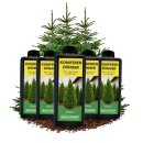 5x 1L Langzeit Koniferendünger organisch I...