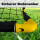 Fußballtor Fussballtor Fußball Tor faltbar klein Fussballtore Trainingszubehör Training (1, 50x44cm)
