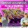 Grow Dünger + Erde Light + All Mix Set Anzucht Wachstum Blüte MADE IN GERMANY Komplettset für Growbox Growing Eigenanbau Wachstumsphase Blütephase Autoflower