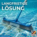 Poolsauger Bodensauger Düse + Kescher + Besen + Schlauch + 2,4m Teleskopstange zur Reinigung von Pool Schwimmbecken