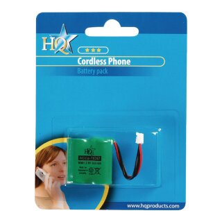 NiMH-Akku 2.4 V 300 mAh 1-Blister