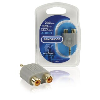 Stereo-Audio-Adapter 3.5 mm male - 2x RCA female Grau