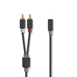 Stereo Audiokabel | 2x Cinch-Stecker  -  3,5-mm-Buchse | 0,2 m | Anthrazit