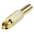 Cinch RCA Metall Gold/Weiss