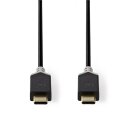 USB 3.1-Kabel (2. Gen) | Stecker Typ C  -  Stecker Typ C | 1,0 m | Anthrazit