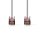 Cat 6 S/FTP Netzwerkkabel | RJ45 (8P8C)-Stecker - RJ45 (8P8C)-Stecker | 2,0 m | Grau