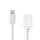 Mini DisplayPort - DisplayPort-Kabel | Mini DisplayPort-Stecker  -  DisplayPort-Buchse | 0,2 m | Weiß