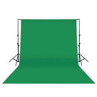 Studio-Hintergrund 295 x 295 cm Grün