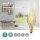 Vintage E14 LED-Glühlampe  | Kerze | Dimmbar Leuchtmittel Filament Lampe