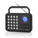 UKW-Radio | 3 W | Uhr und Alarm  | USB-Anschluss und microSD-Kartensteckplatz | Schwarz/Grau