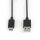USB 2.0 Kabel USB-C male - USB A male 1 m Schwarz