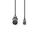 XLR-Audiokabel  |  XLR-3-Pol-Stecker – Cinch-Stecker  |  3,0 m  |  Grau