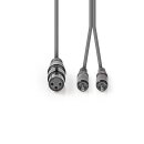 XLR-Audiokabel  |  XLR-3-Pol-Buchse – 2x...