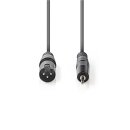 XLR-Audiokabel  |  XLR-3-Pol-Stecker – 3,5-mm-Stecker  |  3,0 m  |  Grau