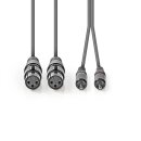 XLR-Audiokabel  |  2x XLR-3-Pol-Buchse – 2x Cinch-Stecker  |  3,0 m  |  Grau