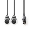 XLR-Audiokabel  |  2x XLR-3-Pol-Stecker – 3,5-mm-Stecker  |  3,0 m  |  Grau