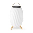 Bluetooth® Lautsprecher | 90 W | Bis zu 6 Stunden...
