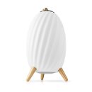 Bluetooth® Lautsprecher | 90 W | Bis zu 6 Stunden Akkulaufzeit | True Wireless Stereo (TWS) | Wasserabweisend